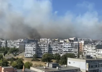 Жена от Варна: Пожар гори близо до домовете ни, а мъжете си пият биричка